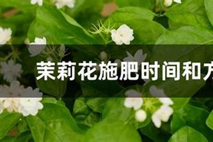 猕猴桃打农药农药打重了叶子掉了怎么挽救