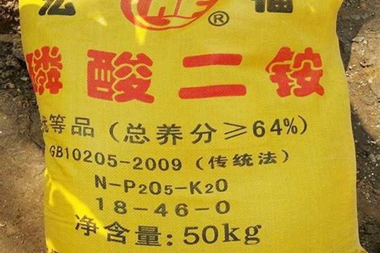 沃柑树打玩农药3天过后叶子干了怎么办