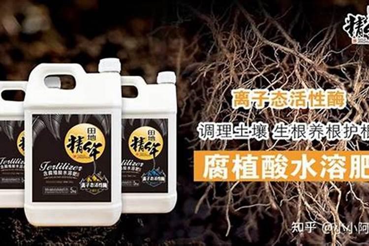 辣椒使用杀菌剂过量耷拉叶子怎么办？