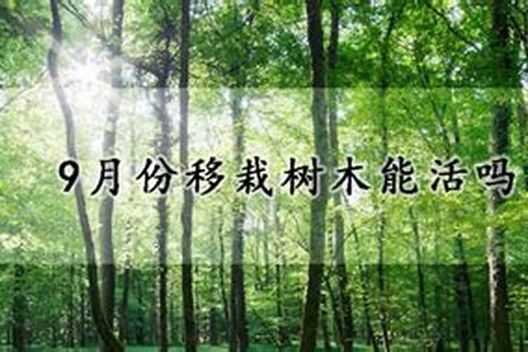 进入九月份,很多晚熟品种的果实该上色增甜了,怎么做能让果实上色增甜...