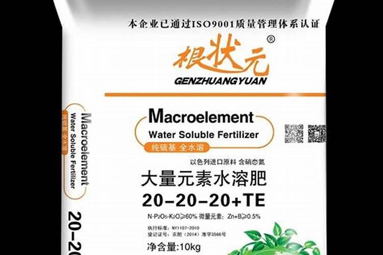 怎样给有花苞的杜鹃施肥