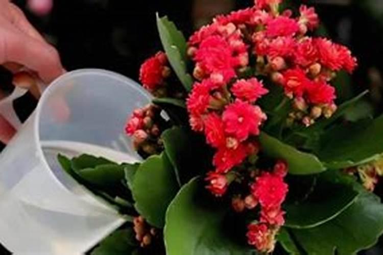 农村适合什么创业