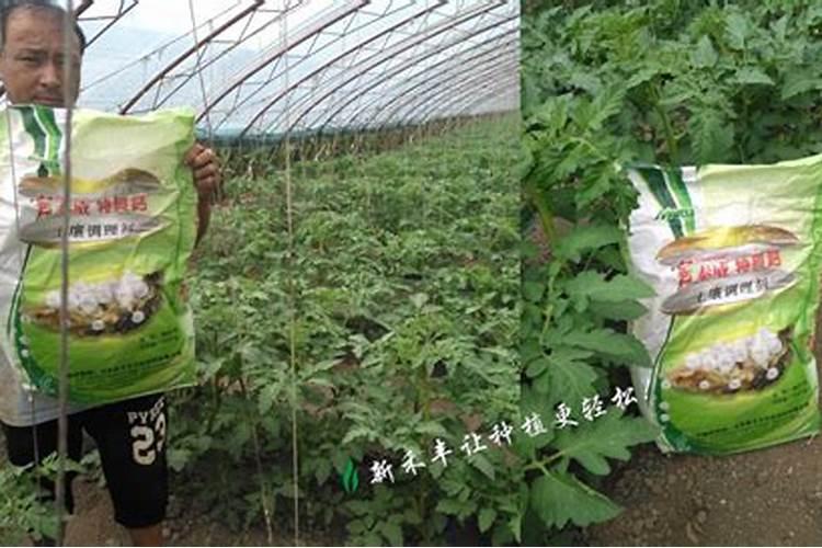 中国水溶肥的前十名 中国水溶肥的前十名是