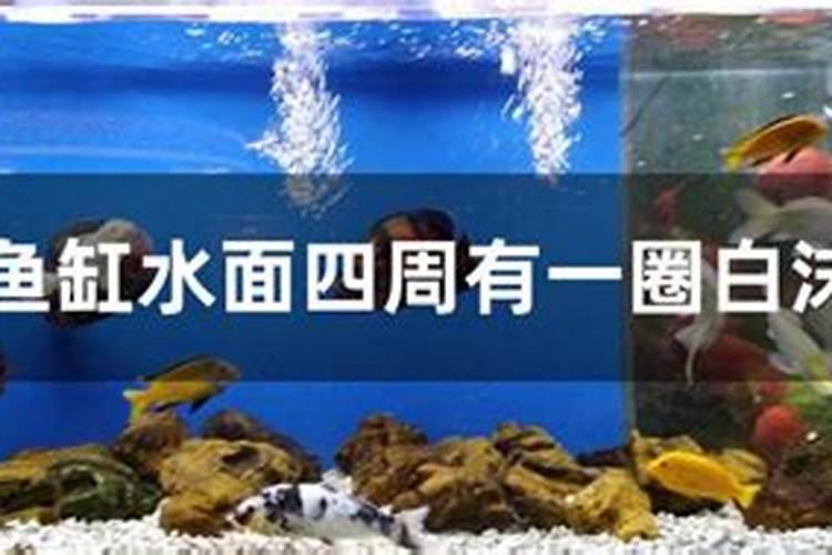 水田施用硝态氮肥是怎样的？