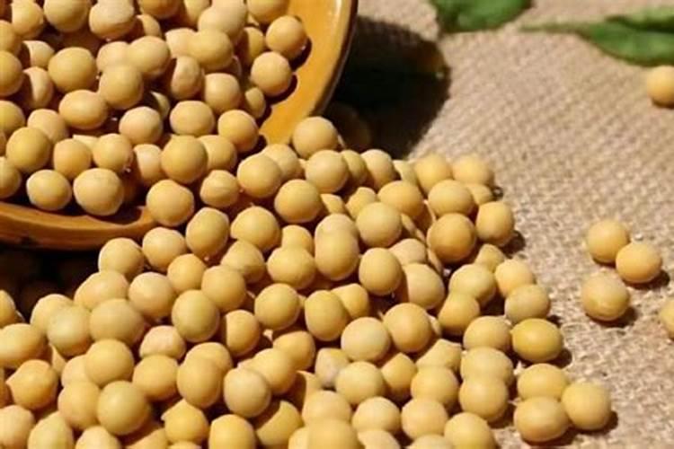 大豆用什么肥料最好