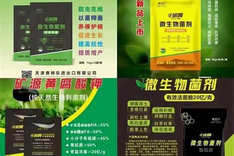 果树缺钙用什么肥料最适合