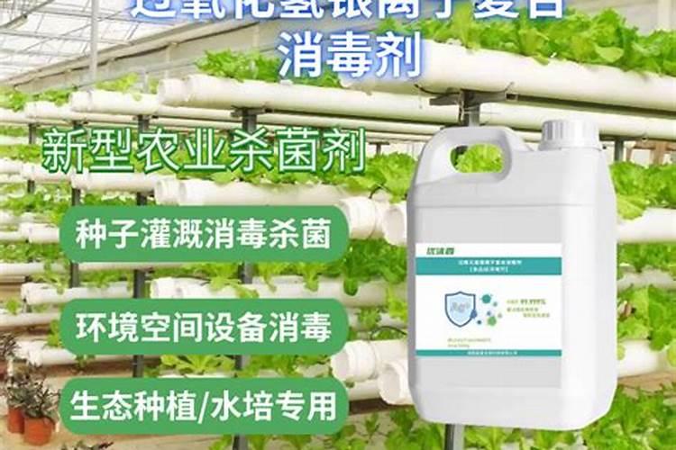 土壤消毒的最好方法