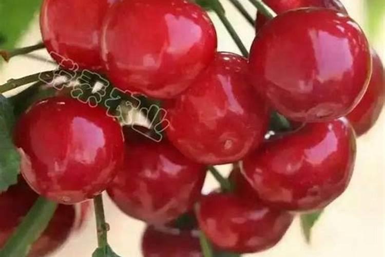 鳌合锌肥的生产工艺流程