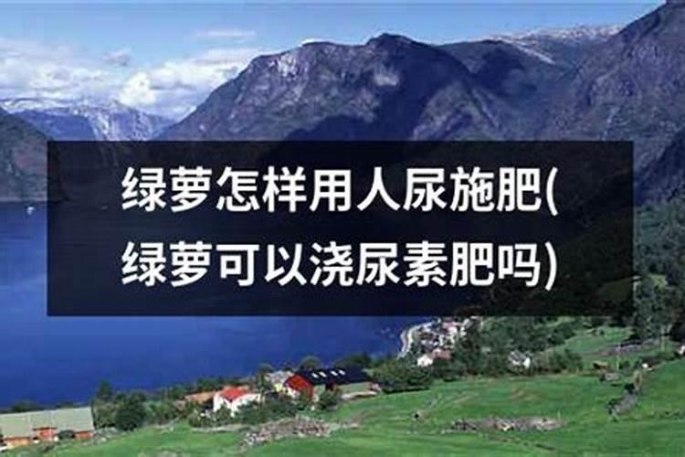 西红柿需要的氮磷钾比例