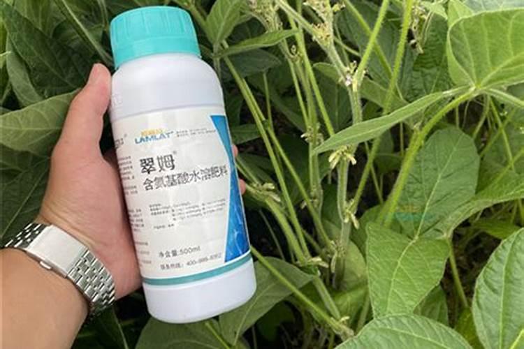 猕猴桃需要什么肥料？