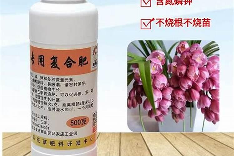 大花蕙兰怎么施肥