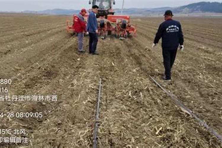 微量元素肥料有哪些