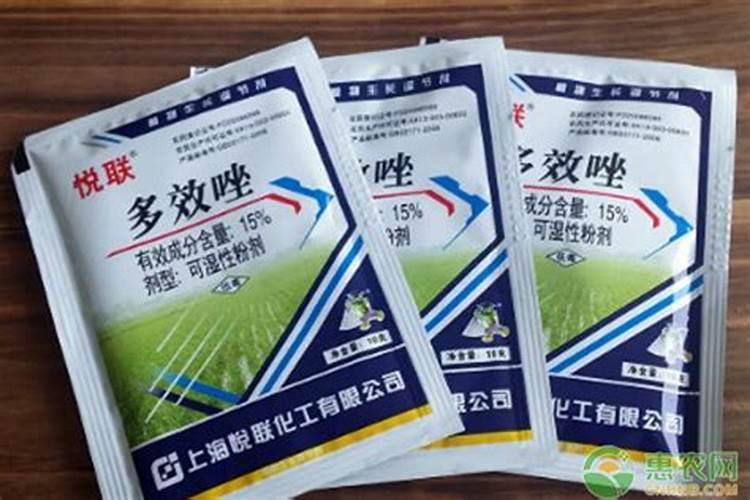 打玉米控旺剂能不能加叶面肥