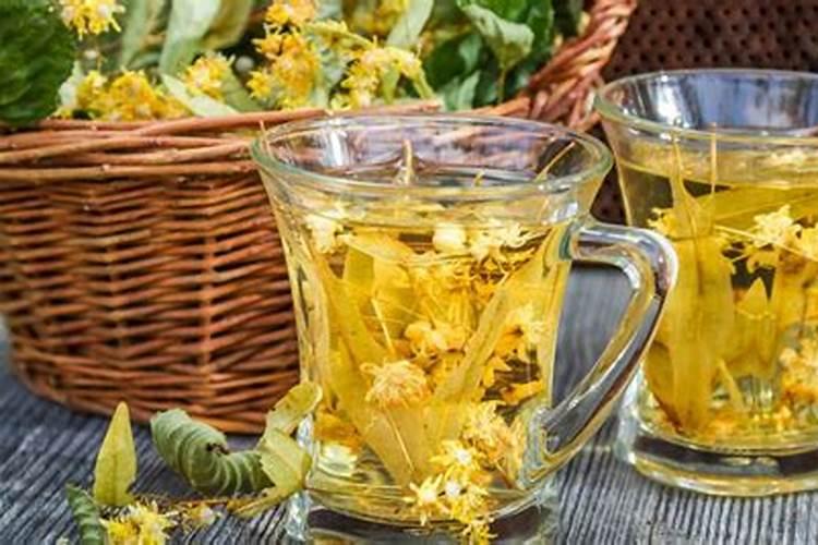 菊花施肥用什么肥料利于开花 种菊花上什么肥最好