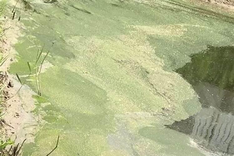 西瓜膨果期用什么复合肥好？西瓜结果期打什么叶面肥长的快？