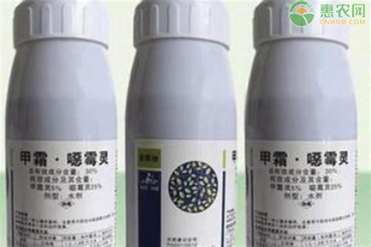 ...霜霉病与细菌角斑病混发怎么治疗,有什么好的配方,配什么叶面肥打