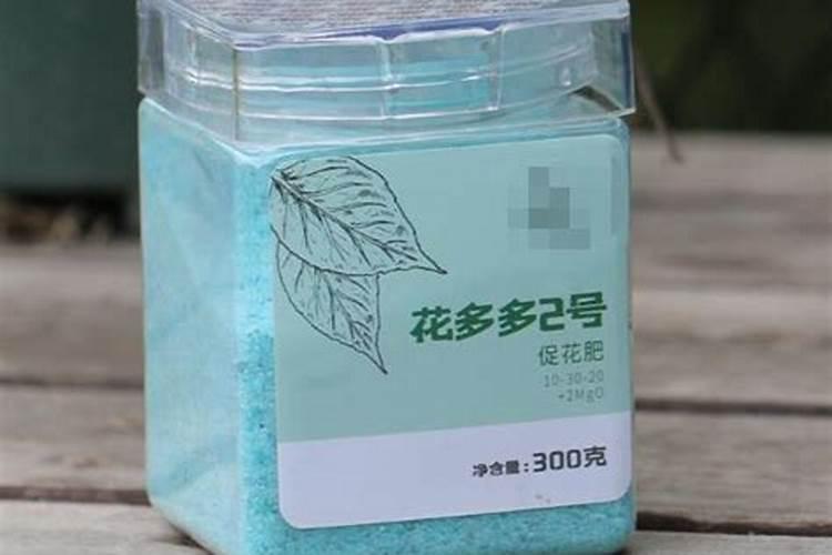 第二年107杨树的肥水管理