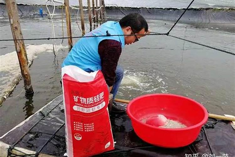 全国最好的硅肥厂家,大家来谈谈有哪些？