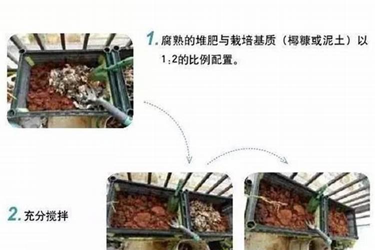 如何处理家庭厨余垃圾？超实用的有机堆肥制作小妙招