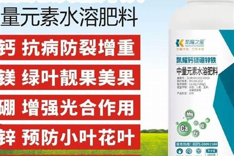 居室花肥臭味怎样去除？