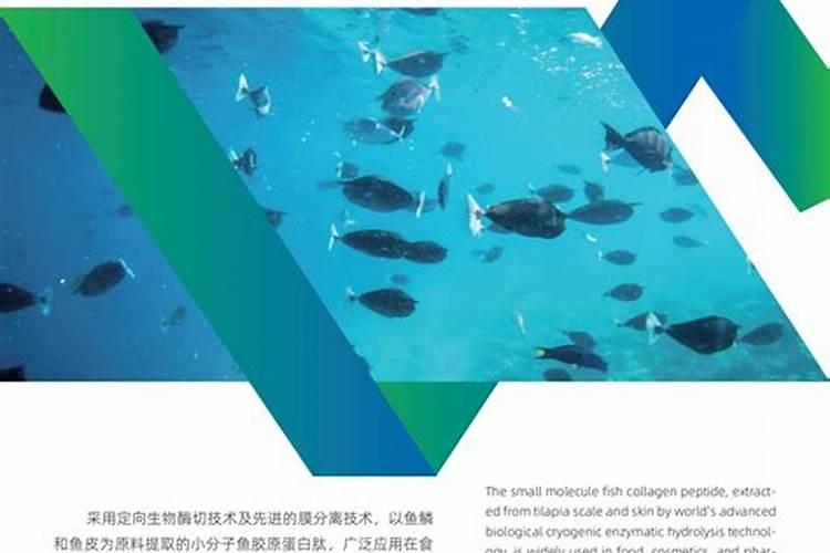 油菜施用硼肥的方法有哪些