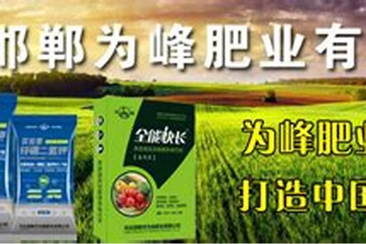 麦黄金哪个牌子的好