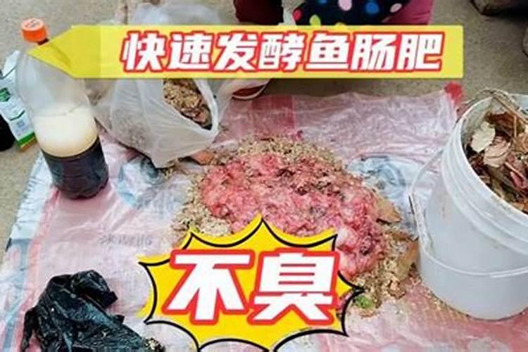 鱼蛋白为什么会发臭？