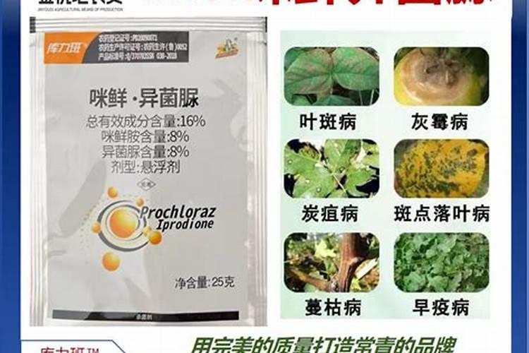 怎样用咪鲜异菌防治香蕉贮藏病害？