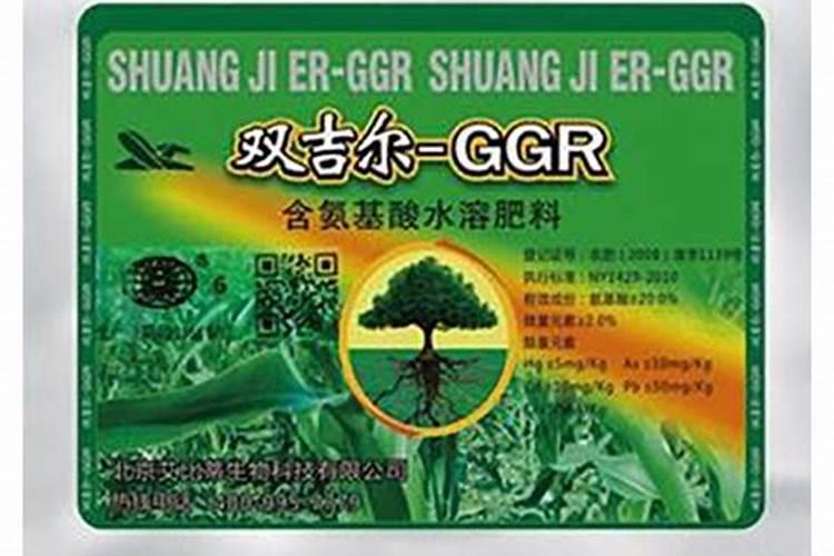 哪里有卖氨基酸肥料的公司