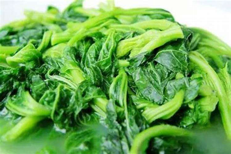 冬寒菜出苗后下雨后怎么会死苗？