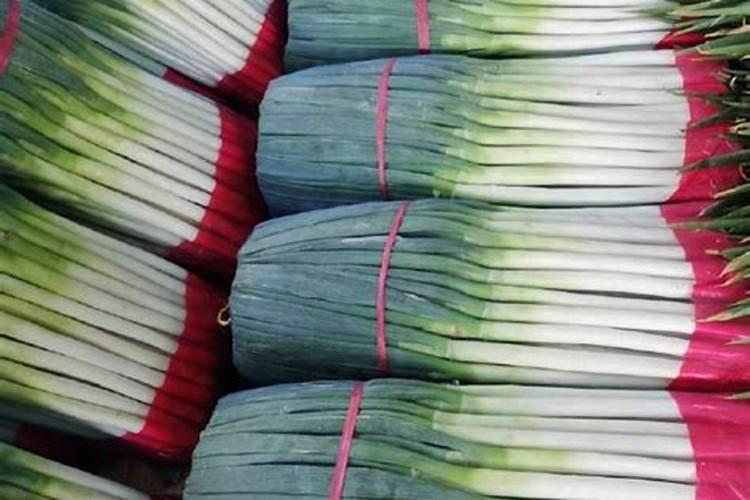 大葱底肥放什么肥 追肥什么肥料最好