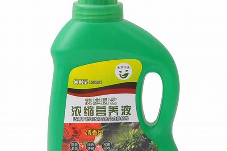 种植白菜用木醋液有没有效果
