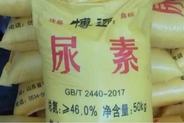 养花用有机肥好还是复合肥好