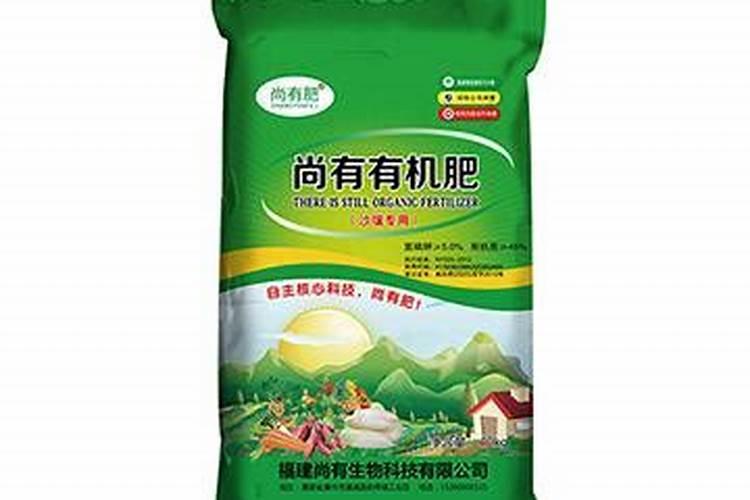 圣女果的高产施肥技巧有哪些？