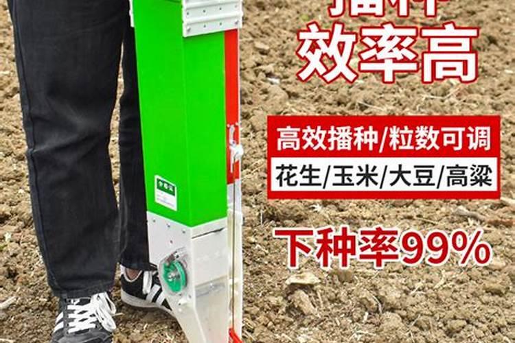 柑橘苗叶面肥施药方法