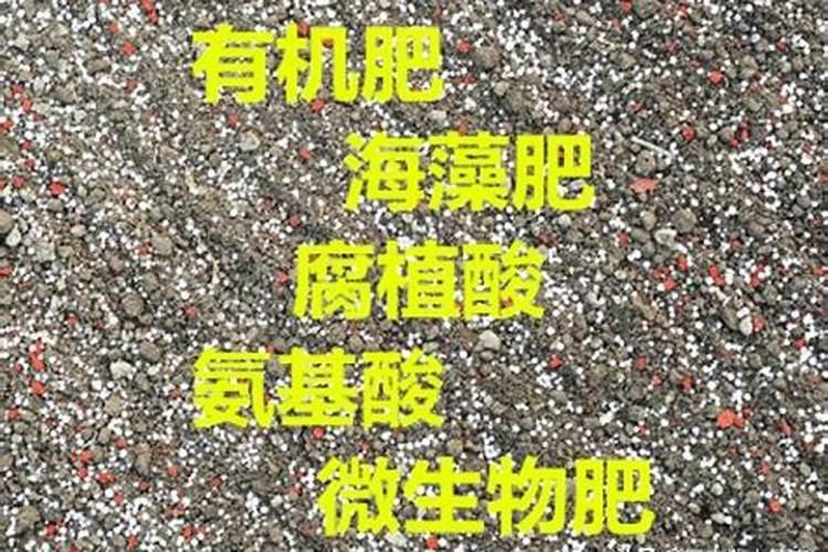 海藻肥哪个品牌的好
