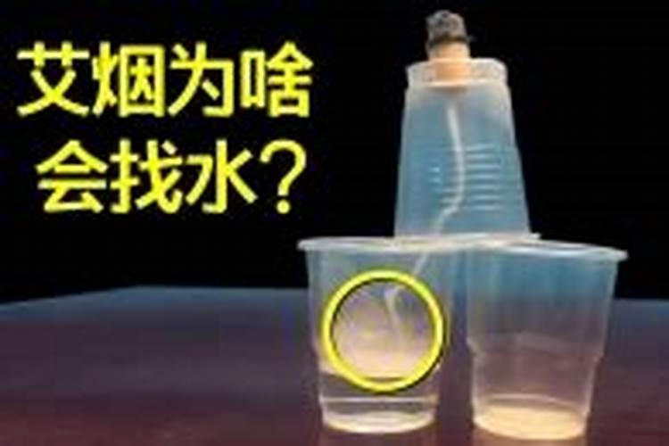辣椒追肥的时间和方法