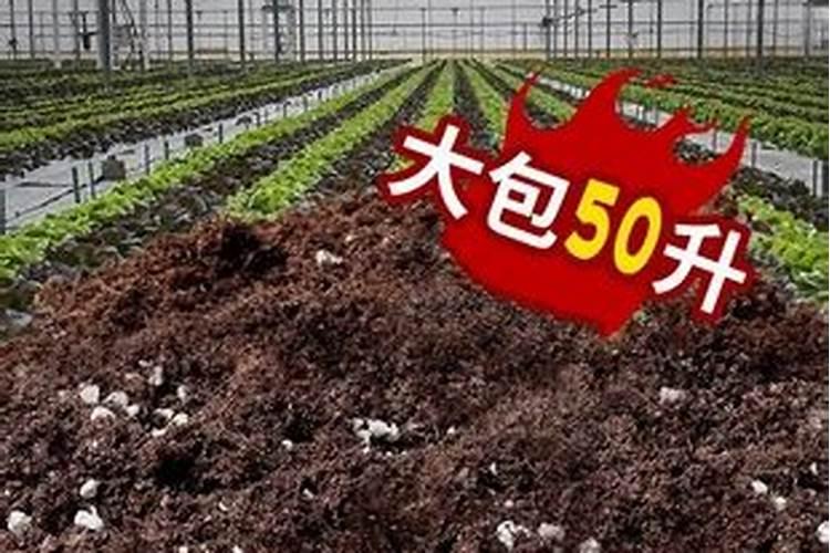 烤烟育苗都有什么方式