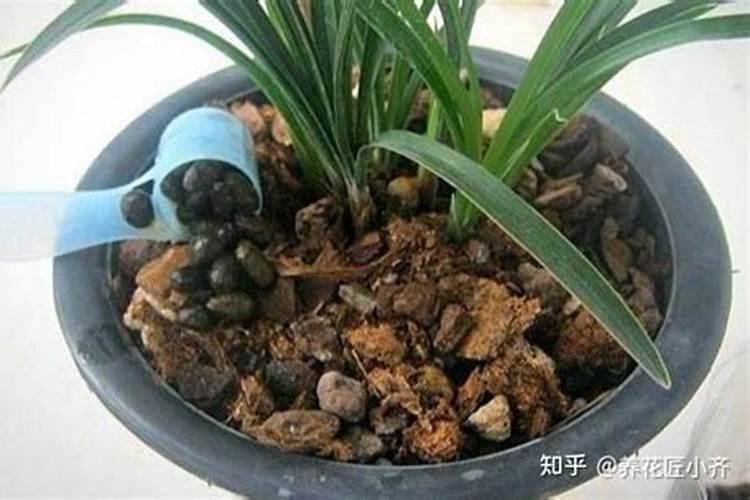 有机氮肥有哪几种 肥料混施要注意哪些问题