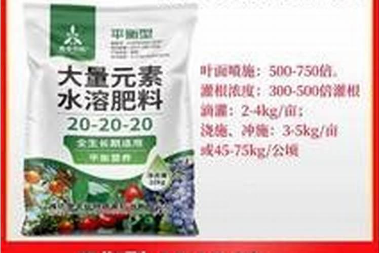 为什么施肥时要浇水