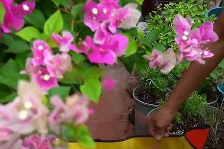 小腿比大腿粗是什么原因