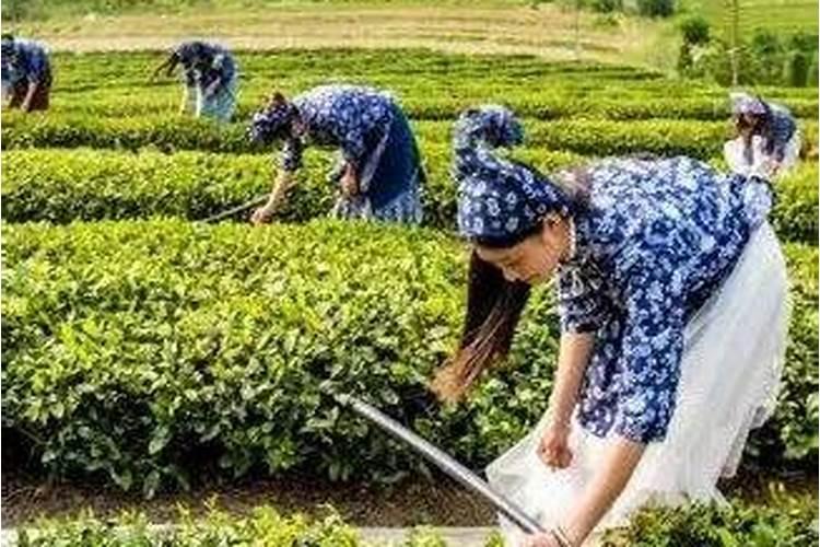 批水泥墙可以不用白水泥,直接用滑石粉加胶水加石胶粉可以吗？会有什么问...