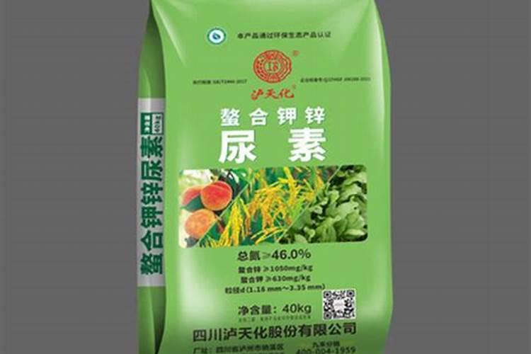 山药的苗苗可以吃吗？