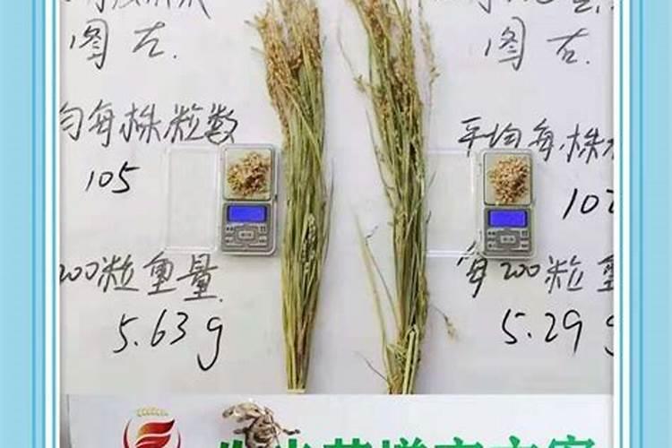 硼肥和磷酸二氢钾可以混用吗