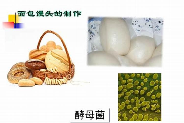 发酵鱼的发酵剂
