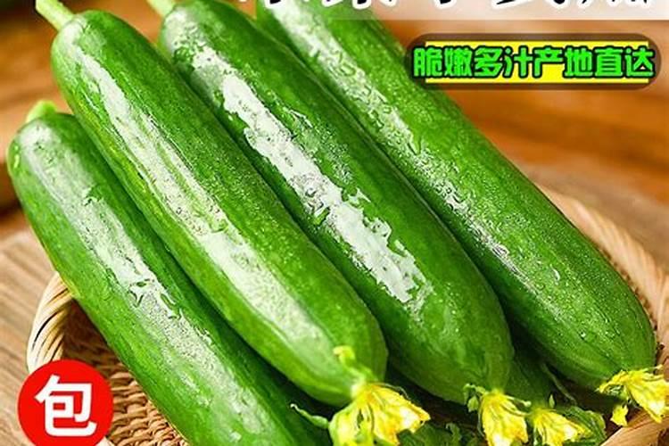温室黄瓜使用什么水溶肥提高产量？