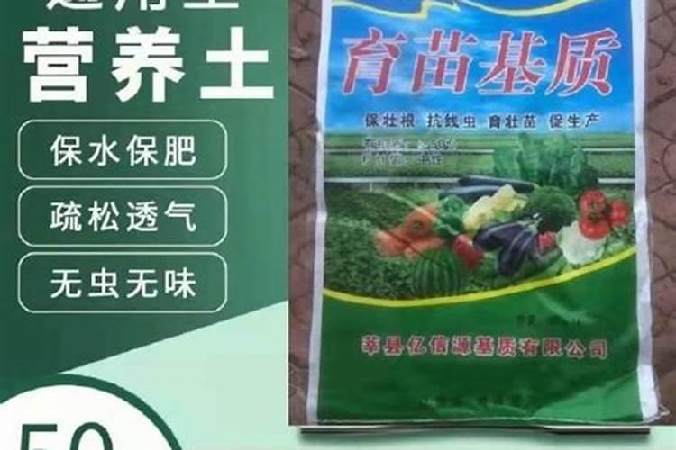 金钱槭的栽培技术
