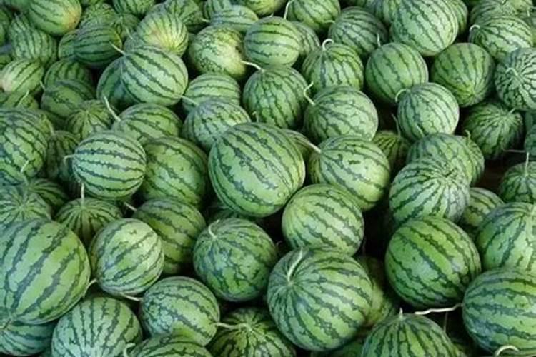 西瓜用什么肥料增甜