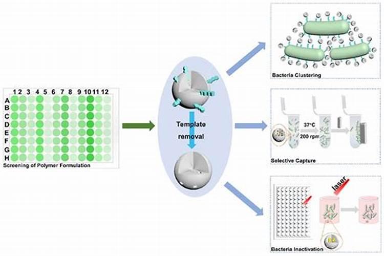 农药渗透剂有哪些,农药增效渗透剂的作用