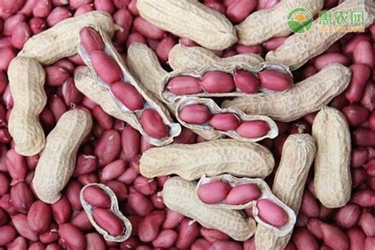 大豆喷施啥叶面肥最好